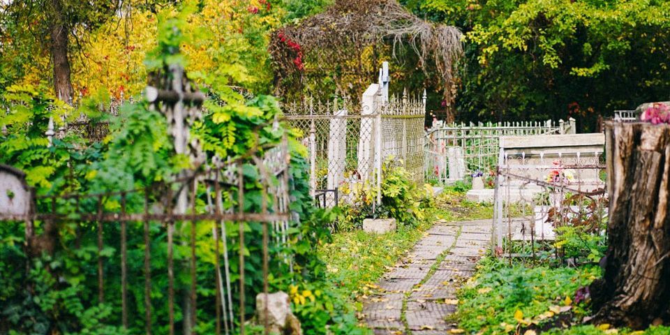 Новое кладбище в станице Старокорсунской всё-таки появится