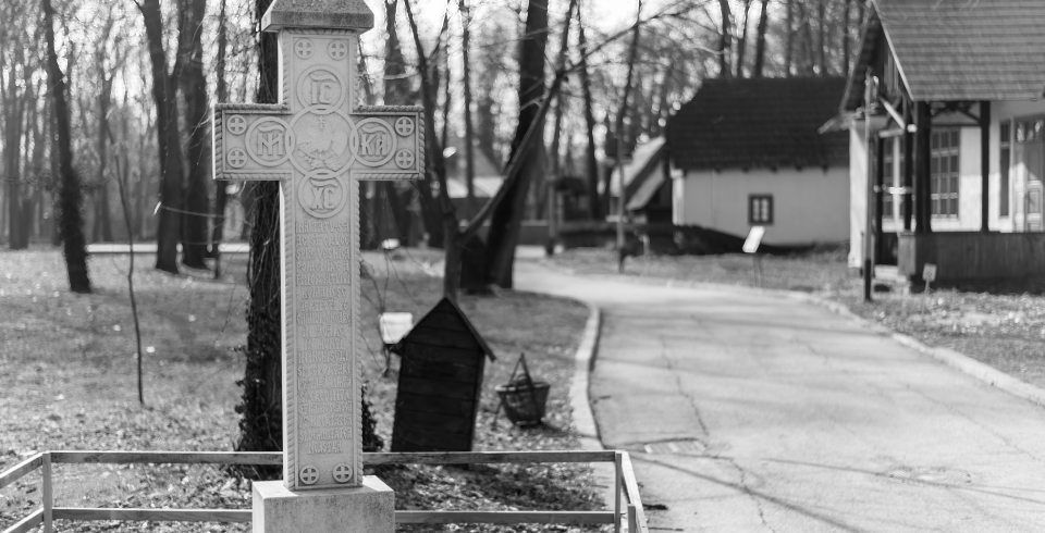В Краснодаре расширят городское кладбище за 494 млн рублей: старт работ в 2025 году